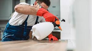 Best Pest Control for Multi-Family Homes  in Presidio, TX